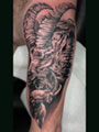 Maori Tattoo Hamburg Tätowierer Hamburg Realistic-Tattoo Hamburg Tattoostudio Hamburg Tätowiererin Hamburg Tattoo-Studio Hamburg